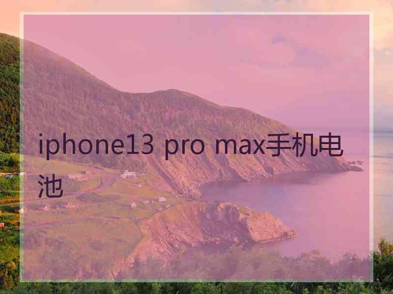 iphone13 pro max手机电池