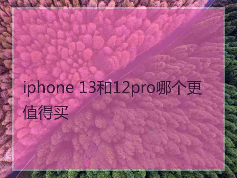 iphone 13和12pro哪个更值得买