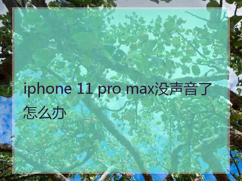 iphone 11 pro max没声音了怎么办