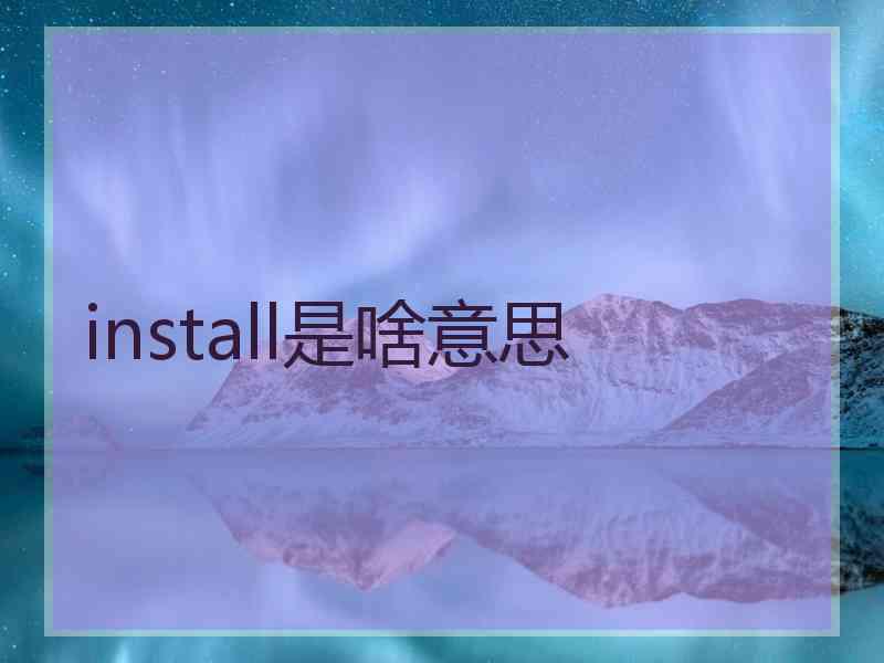 install是啥意思