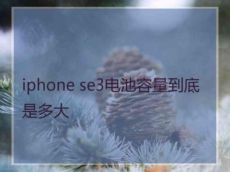 iphone se3电池容量到底是多大