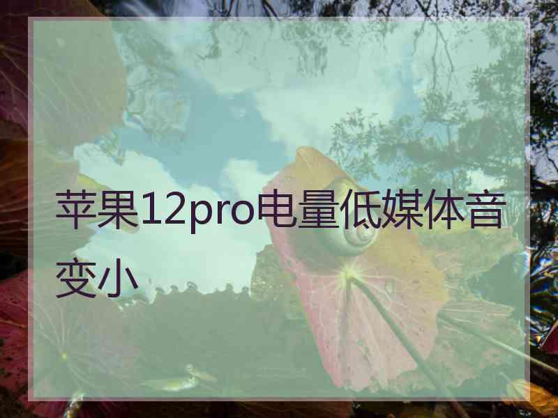 苹果12pro电量低媒体音变小