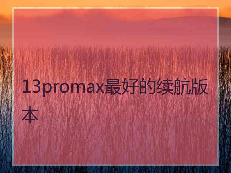 13promax最好的续航版本