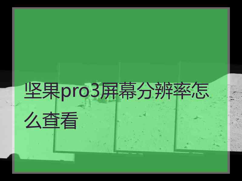 坚果pro3屏幕分辨率怎么查看