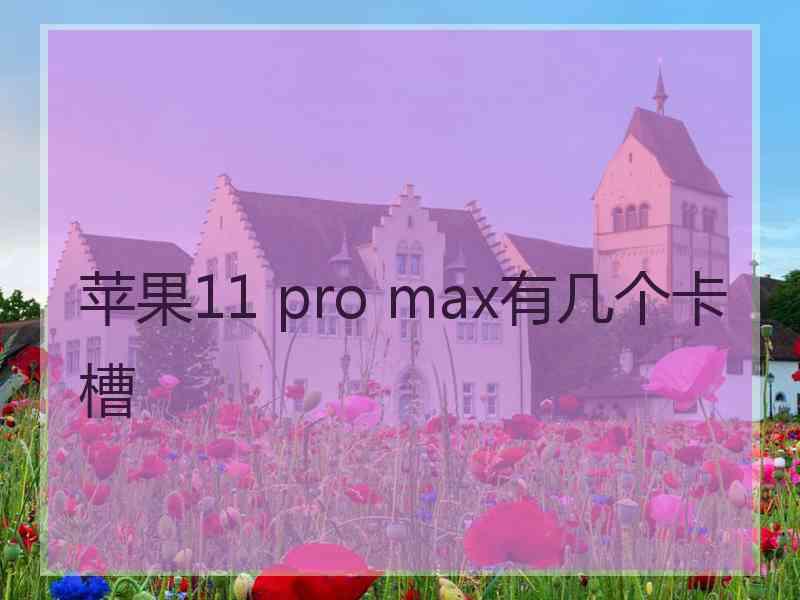 苹果11 pro max有几个卡槽