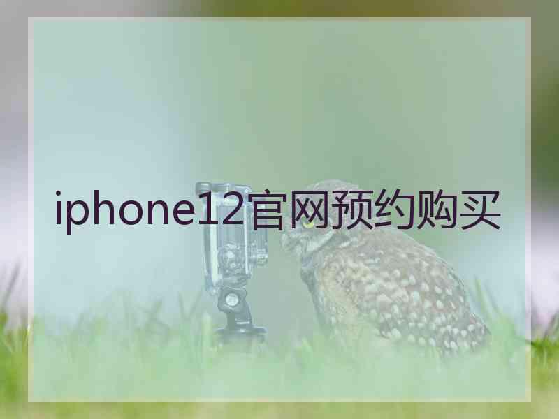 iphone12官网预约购买