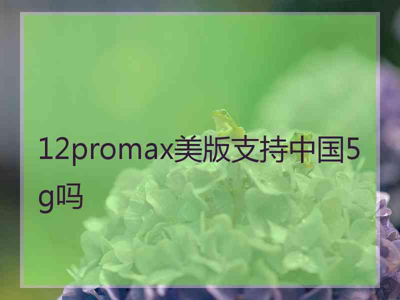 12promax美版支持中国5g吗