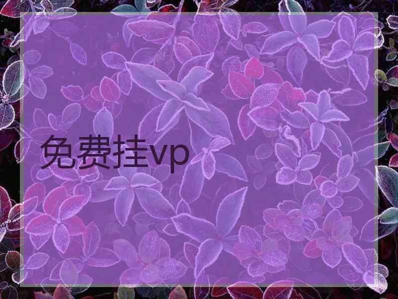 免费挂vp