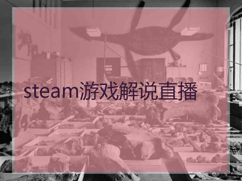 steam游戏解说直播