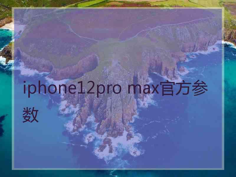 iphone12pro max官方参数