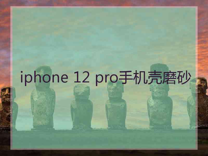 iphone 12 pro手机壳磨砂