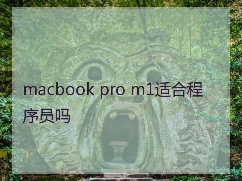 macbook pro m1适合程序员吗