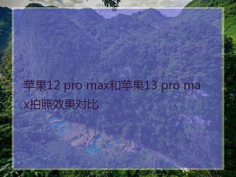 苹果12 pro max和苹果13 pro max拍照效果对比