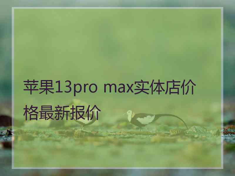 苹果13pro max实体店价格最新报价