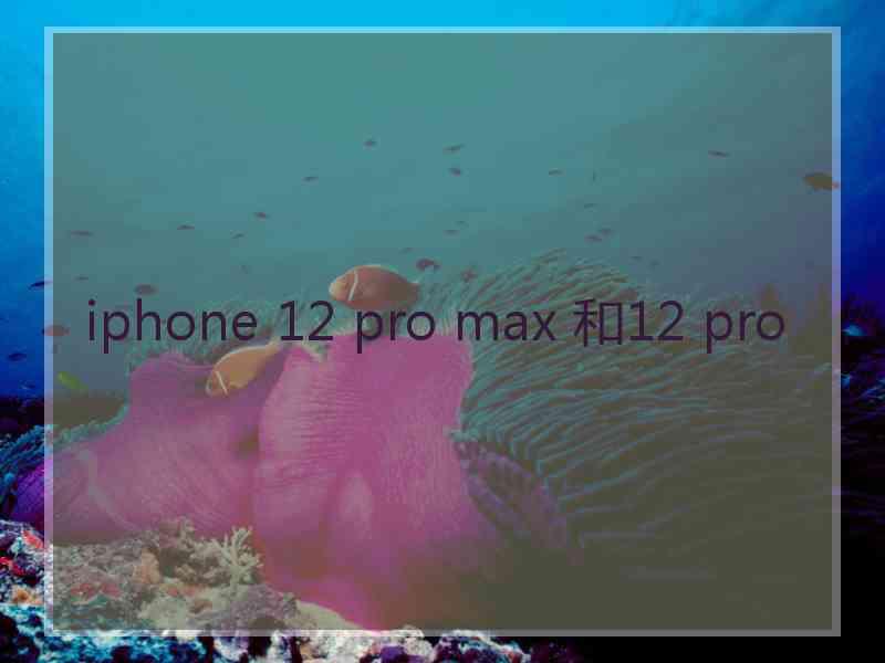 iphone 12 pro max 和12 pro