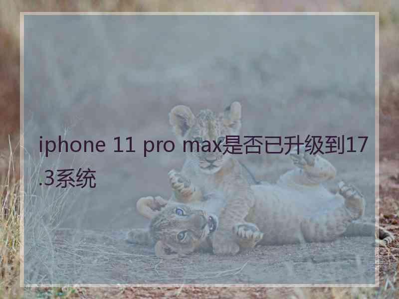 iphone 11 pro max是否已升级到17.3系统