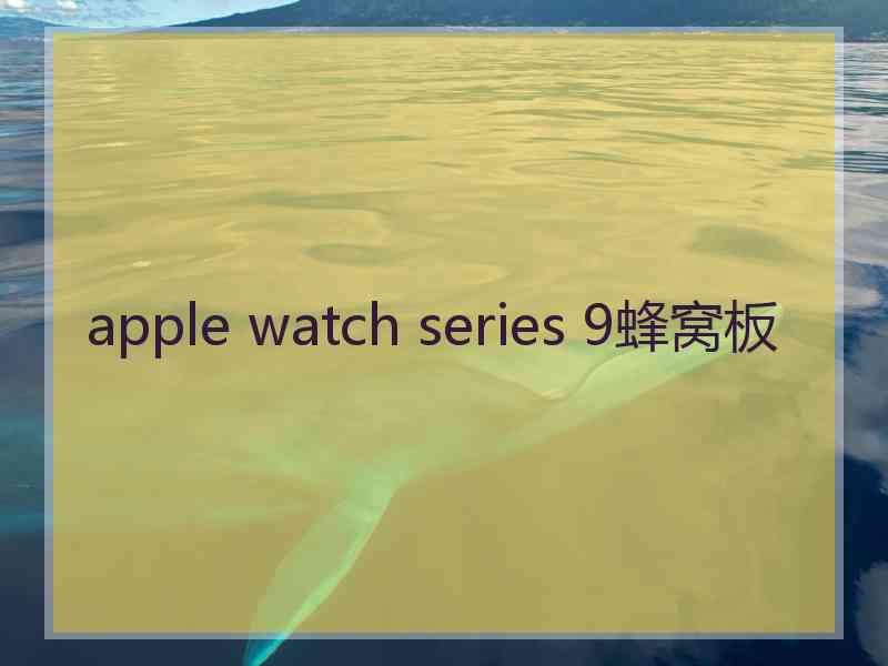 apple watch series 9蜂窝板