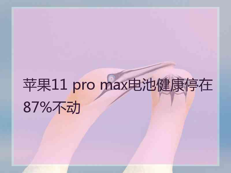 苹果11 pro max电池健康停在87%不动