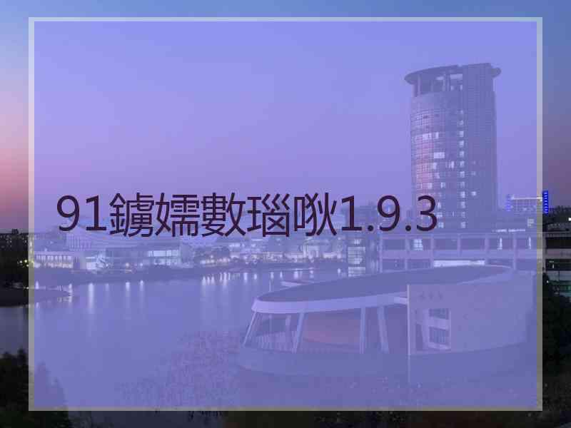 91鐪嬬數瑙唙1.9.3