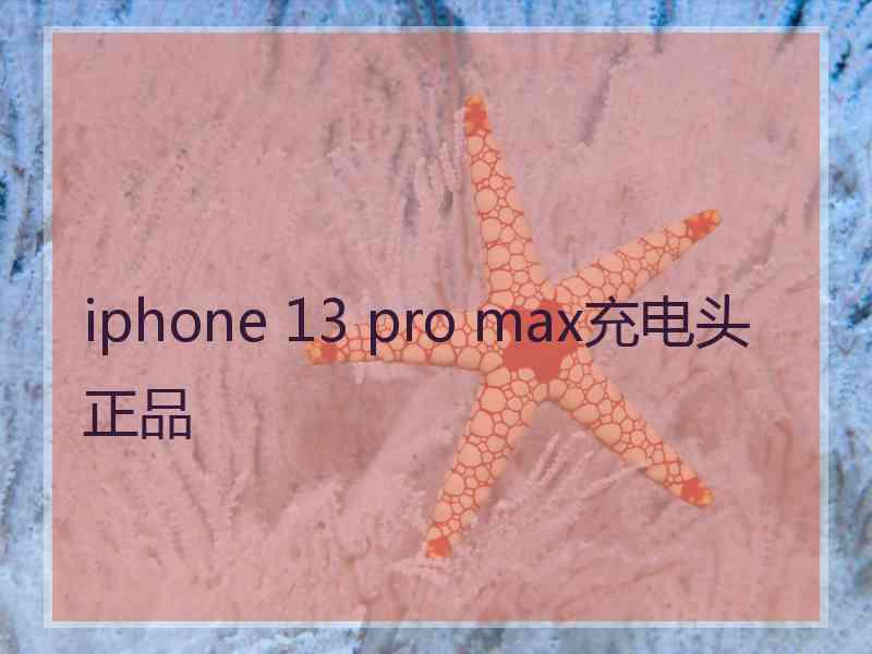 iphone 13 pro max充电头正品