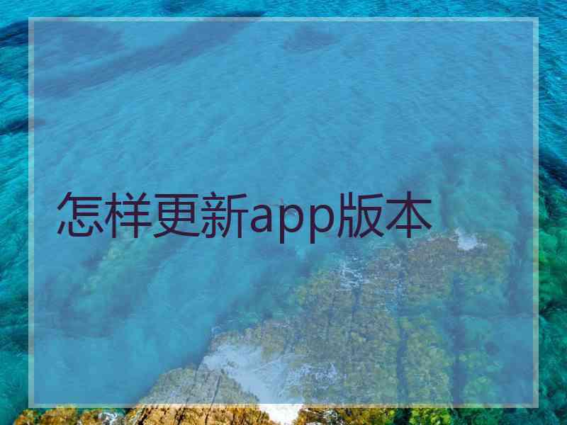 怎样更新app版本