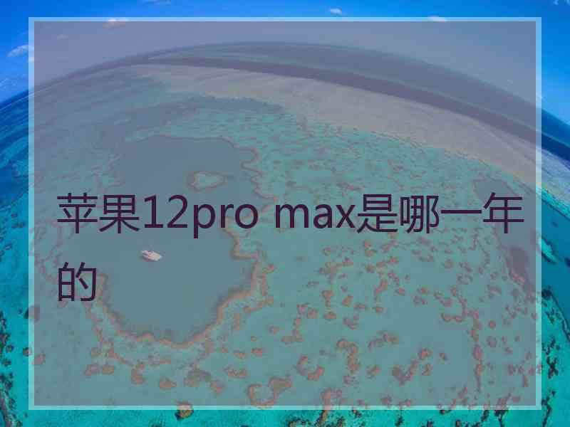 苹果12pro max是哪一年的