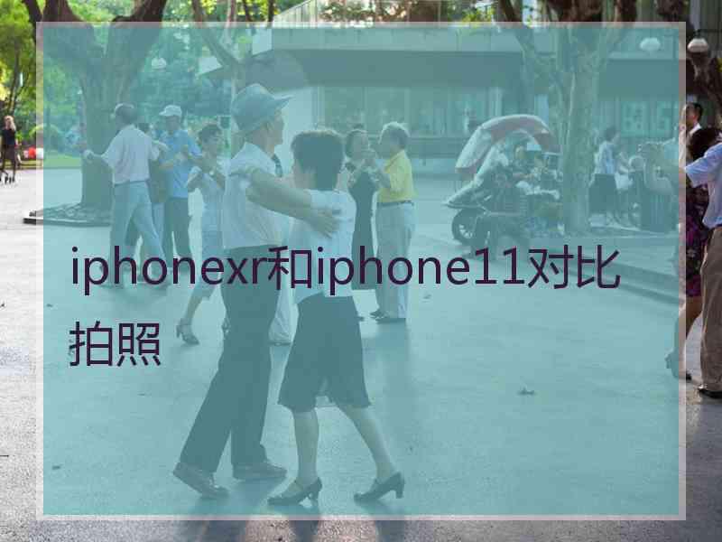 iphonexr和iphone11对比拍照