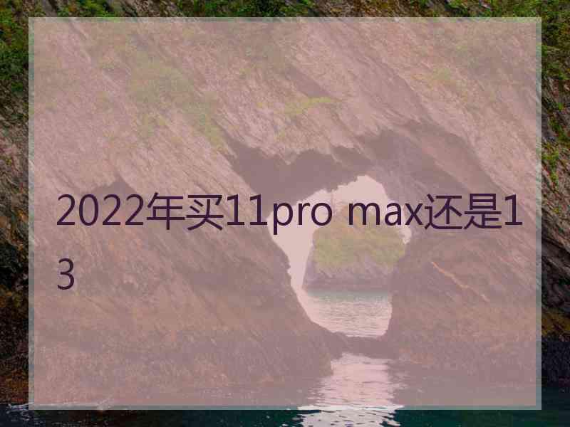 2022年买11pro max还是13