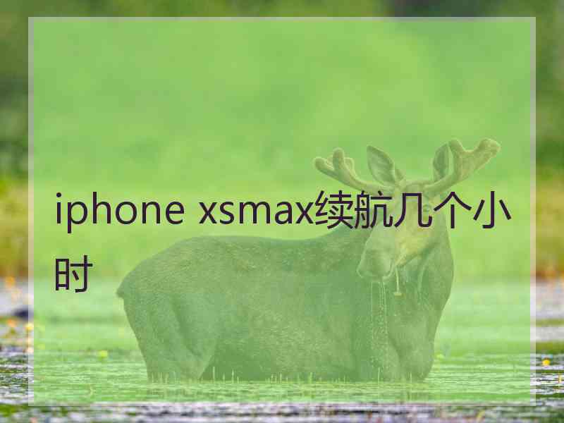 iphone xsmax续航几个小时