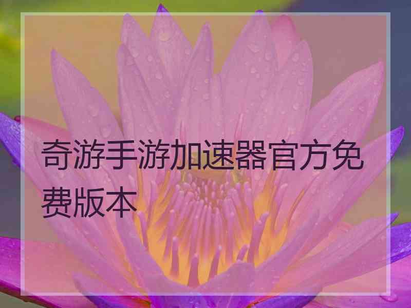 奇游手游加速器官方免费版本