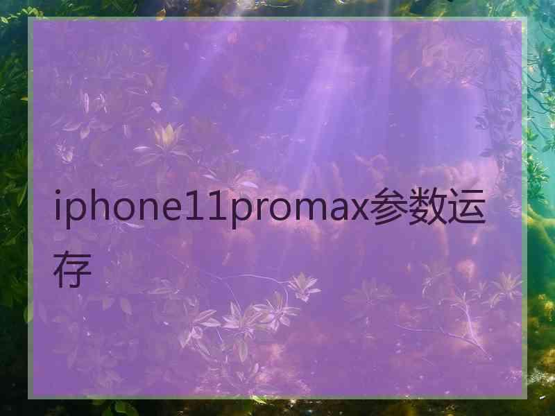 iphone11promax参数运存