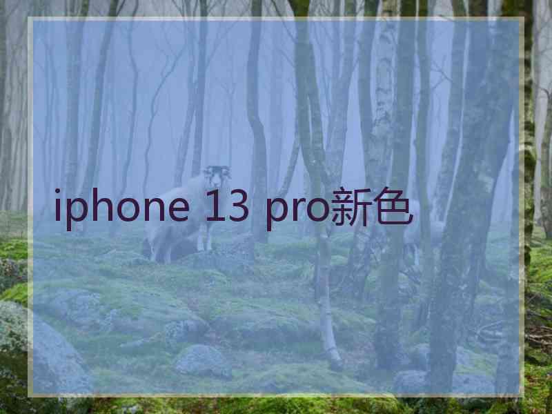 iphone 13 pro新色