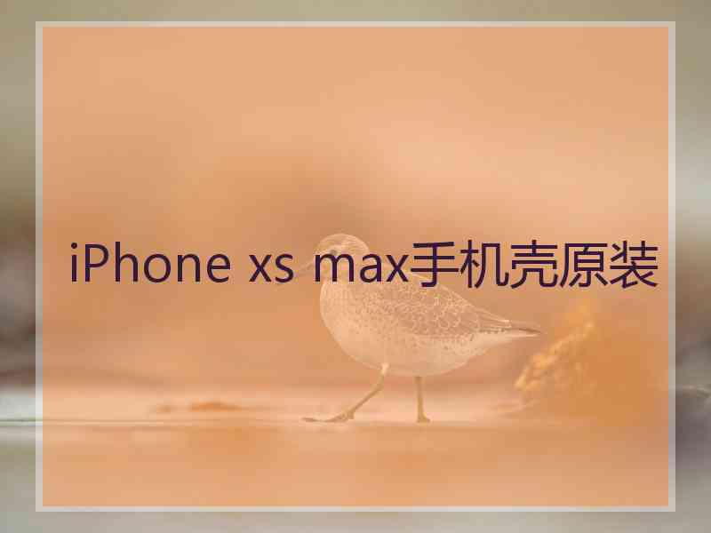 iPhone xs max手机壳原装