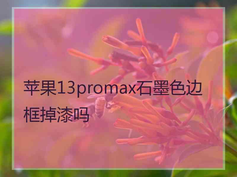 苹果13promax石墨色边框掉漆吗