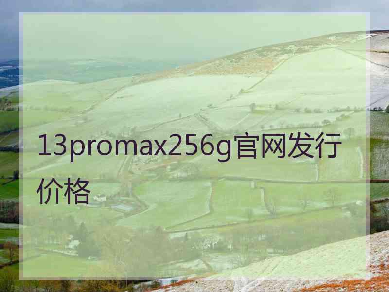 13promax256g官网发行价格