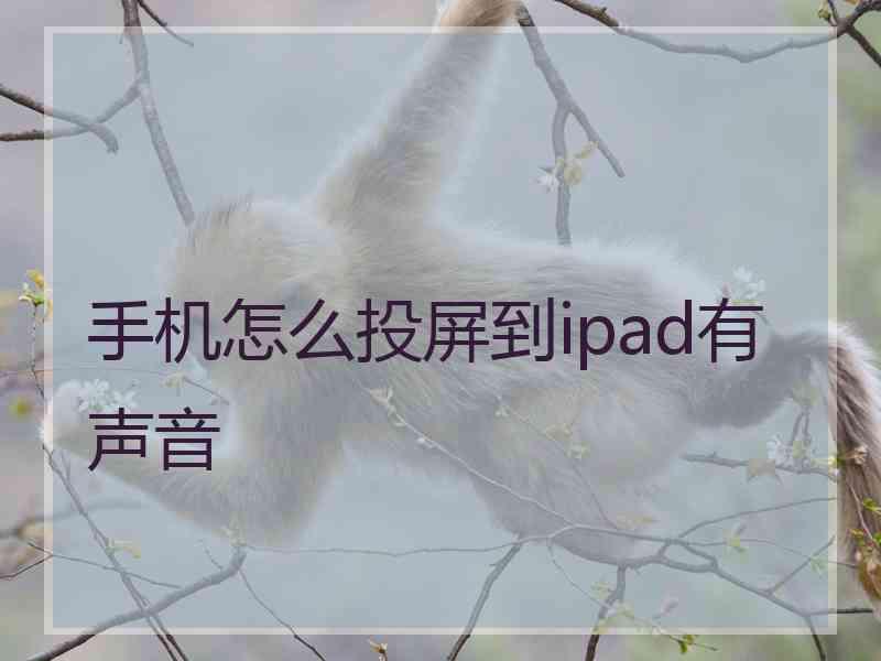 手机怎么投屏到ipad有声音