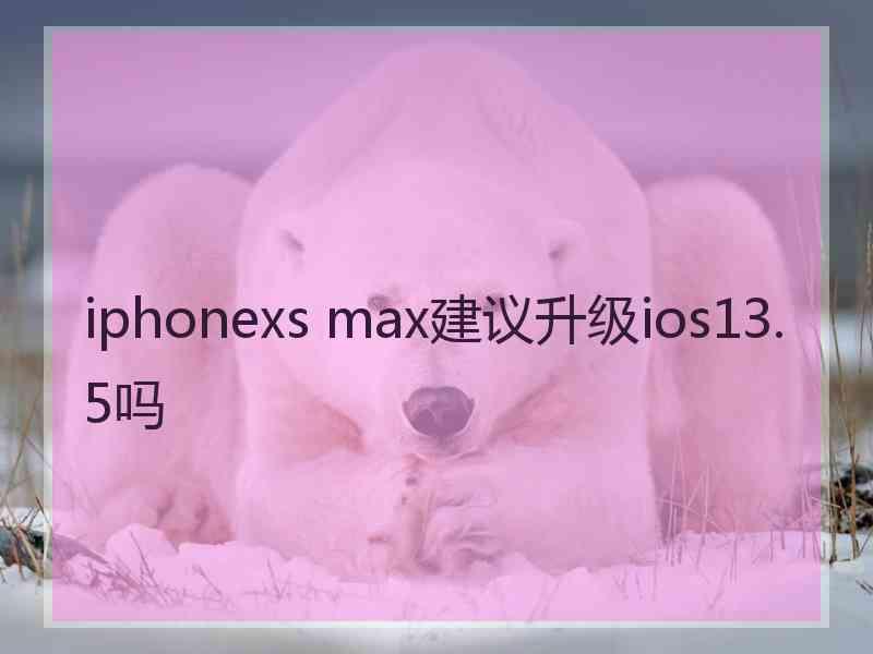 iphonexs max建议升级ios13.5吗