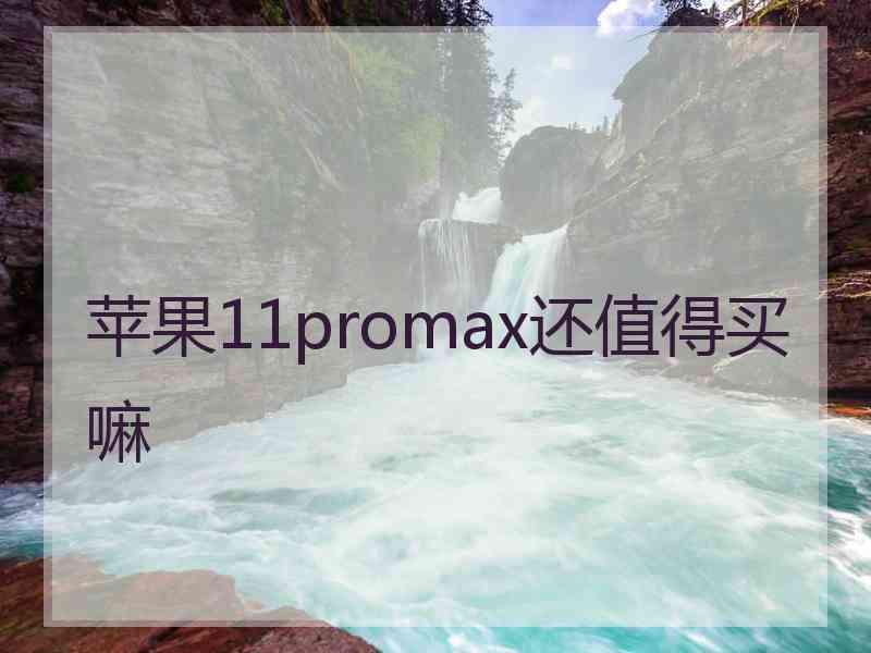 苹果11promax还值得买嘛