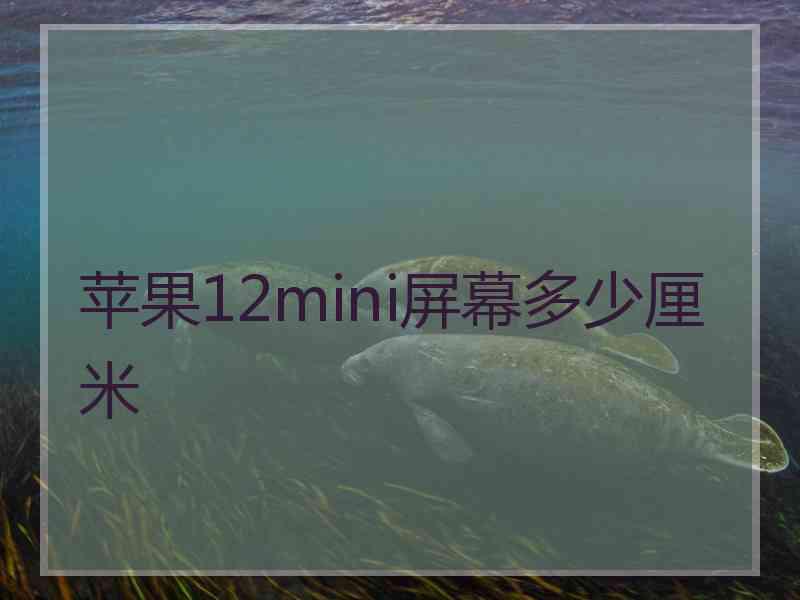 苹果12mini屏幕多少厘米