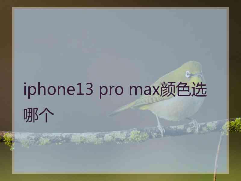 iphone13 pro max颜色选哪个