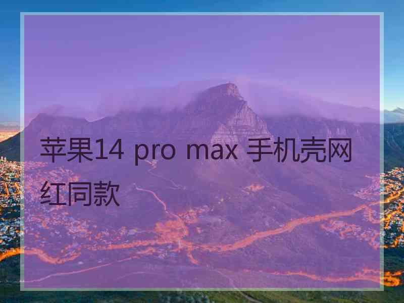 苹果14 pro max 手机壳网红同款