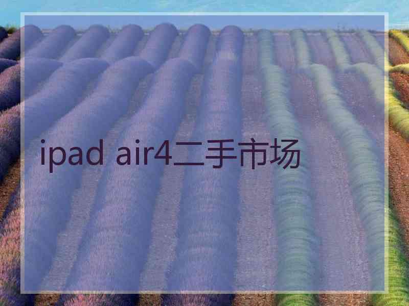 ipad air4二手市场