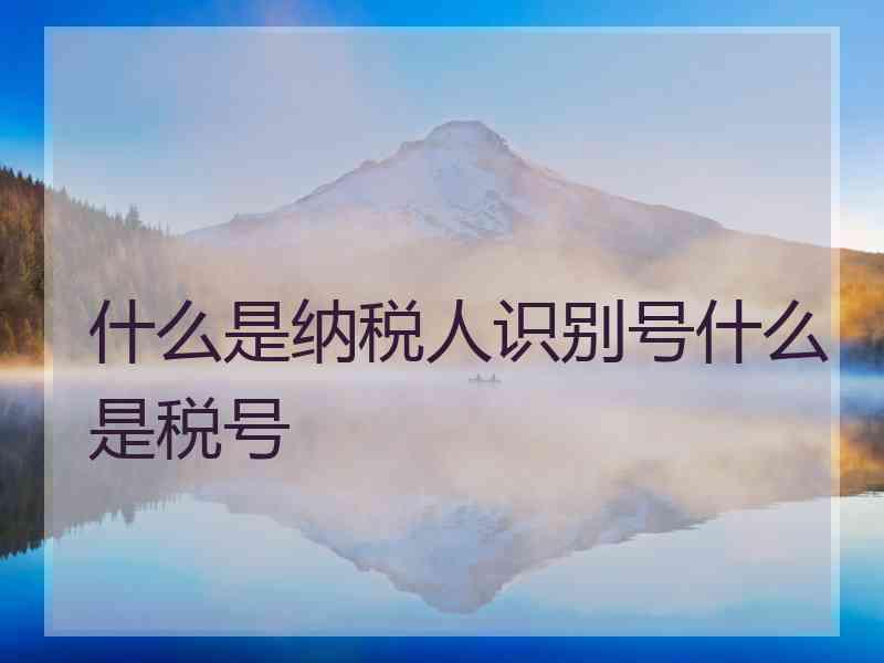 什么是纳税人识别号什么是税号