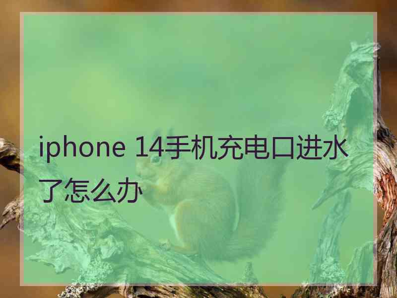 iphone 14手机充电口进水了怎么办