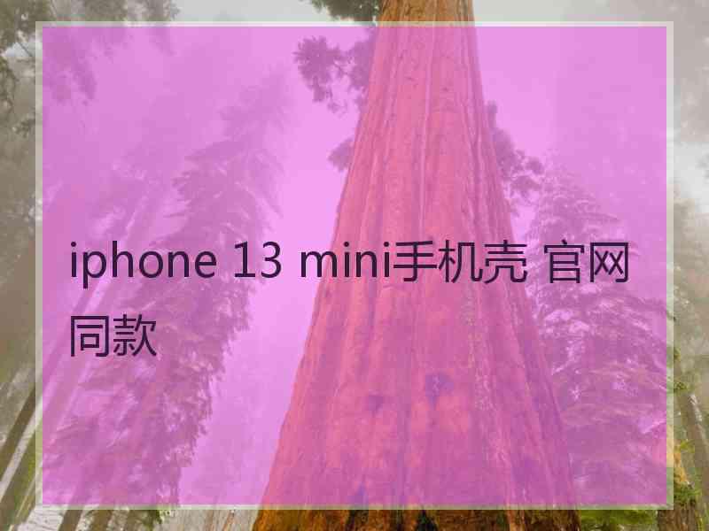 iphone 13 mini手机壳 官网同款