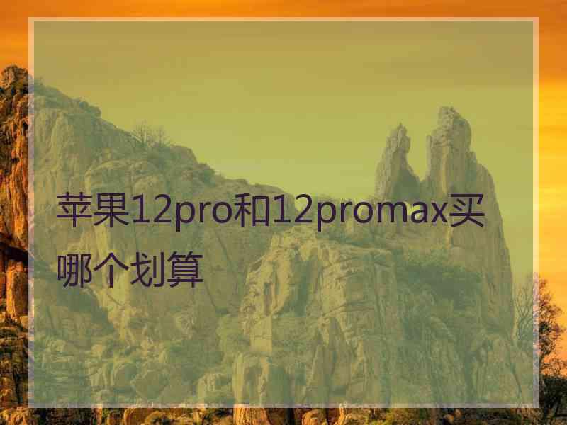 苹果12pro和12promax买哪个划算