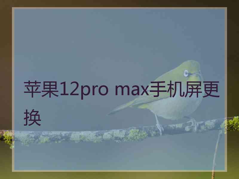 苹果12pro max手机屏更换