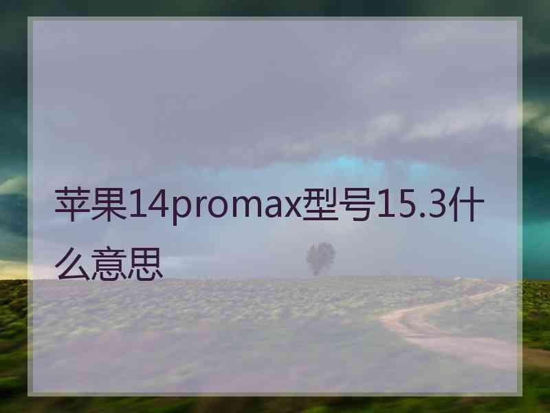 苹果14promax型号15.3什么意思