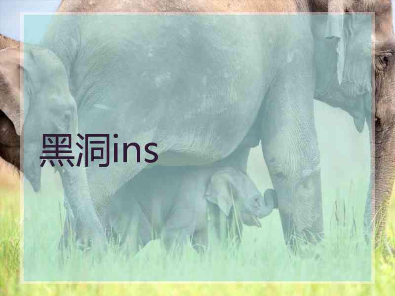 黑洞ins