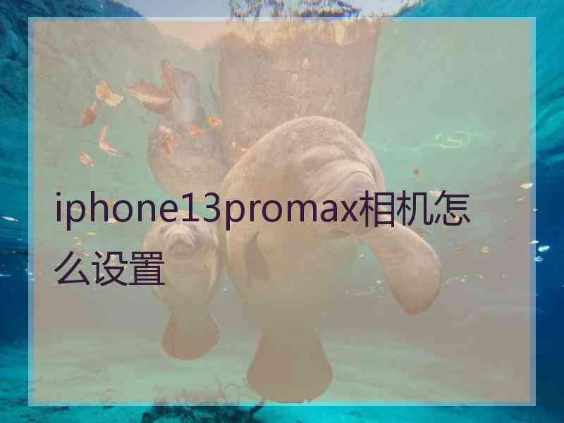 iphone13promax相机怎么设置